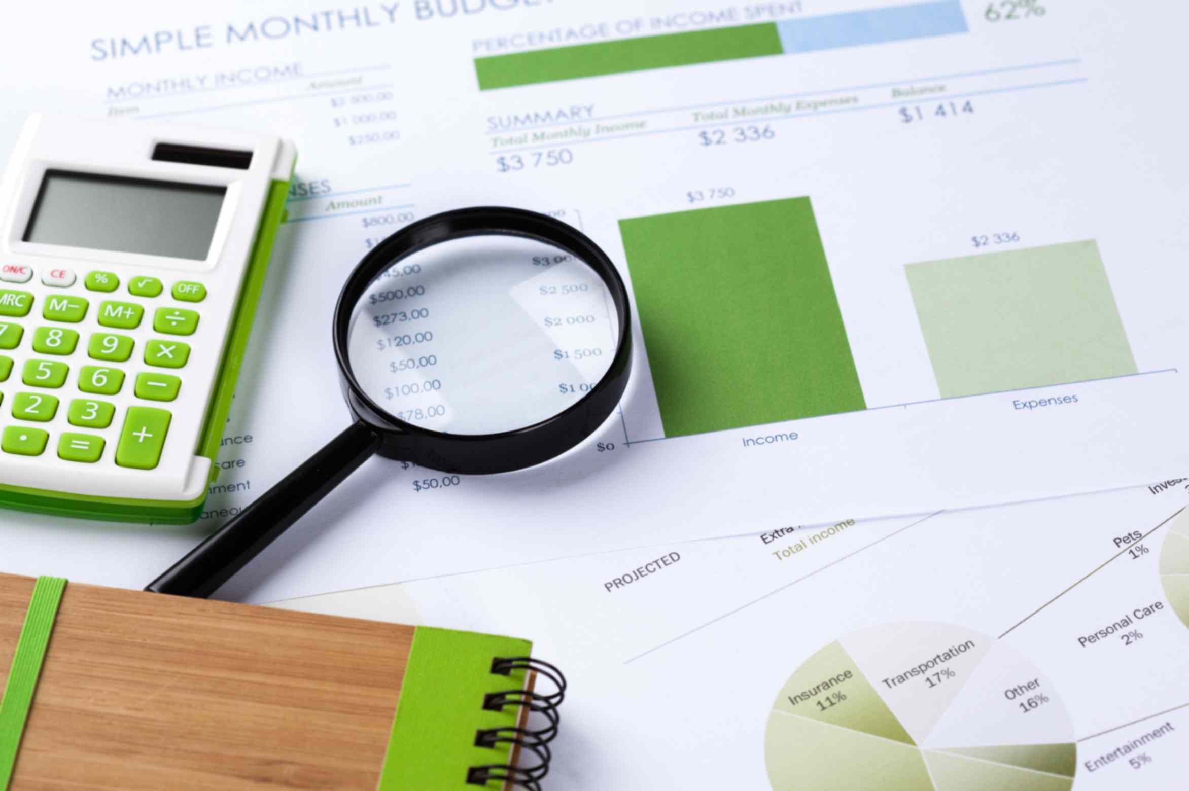 Financial Analytics - Budget document